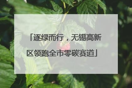 逐绿而行，无锡高新区领跑全市零碳赛道