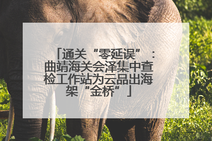 通关“零延误”：曲靖海关会泽集中查检工作站为云品出海架“金桥”
