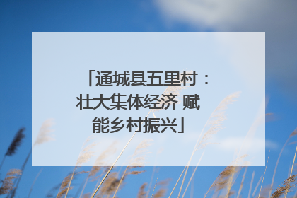 通城县五里村：壮大集体经济 赋能乡村振兴