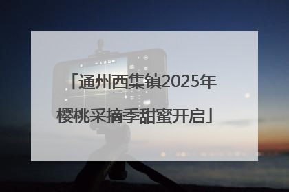 通州西集镇2025年樱桃采摘季甜蜜开启