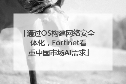 通过OS构建网络安全一体化，Fortinet看重中国市场AI需求