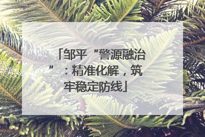邹平“警源融治”：精准化解，筑牢稳定防线