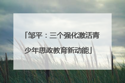邹平：三个强化激活青少年思政教育新动能