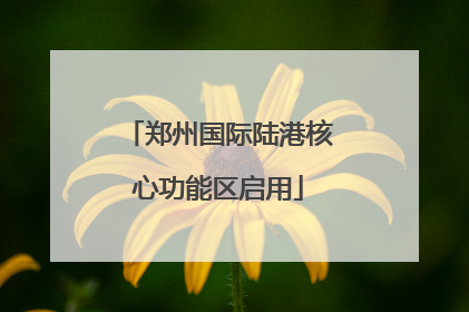 郑州国际陆港核心功能区启用