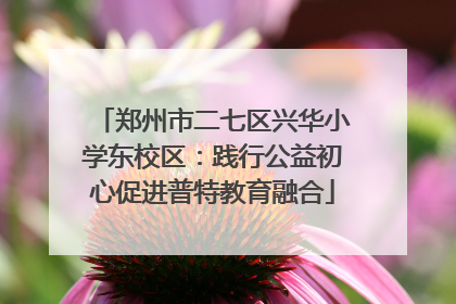 郑州市二七区兴华小学东校区：践行公益初心促进普特教育融合