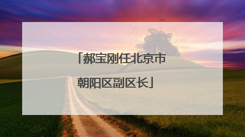 郝宝刚任北京市朝阳区副区长