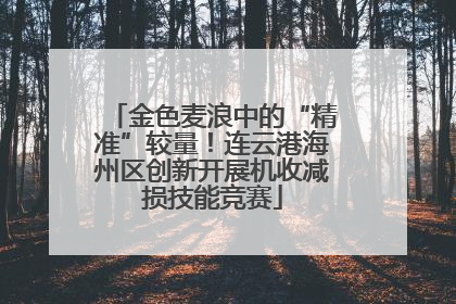 金色麦浪中的“精准”较量！连云港海州区创新开展机收减损技能竞赛