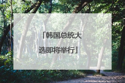 韩国总统大选即将举行