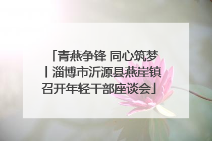 青燕争锋 同心筑梦丨淄博市沂源县燕崖镇召开年轻干部座谈会