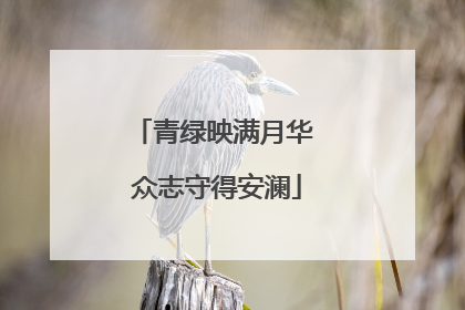 青绿映满月华 众志守得安澜