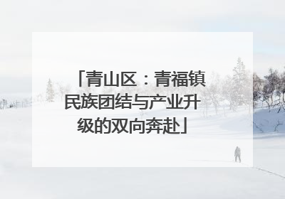 青山区：青福镇民族团结与产业升级的双向奔赴