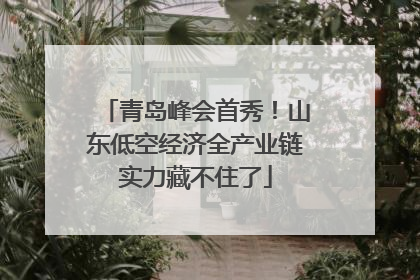 青岛峰会首秀！山东低空经济全产业链实力藏不住了