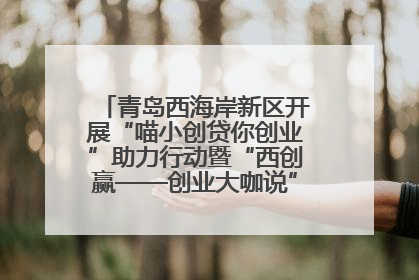 青岛西海岸新区开展“喵小创贷你创业”助力行动暨“西创赢——创业大咖说”主题活动