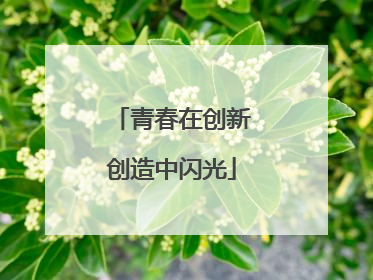 青春在创新创造中闪光