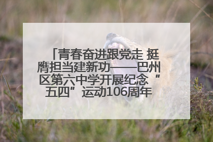 青春奋进跟党走 挺膺担当建新功——巴州区第六中学开展纪念“五四”运动106周年主题团日活动暨新团员入团仪式