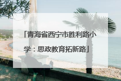 青海省西宁市胜利路小学：思政教育拓新路
