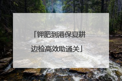 钾肥到港保夏耕 边检高效助通关