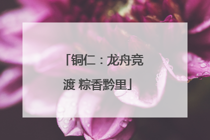 铜仁：龙舟竞渡 粽香黔里