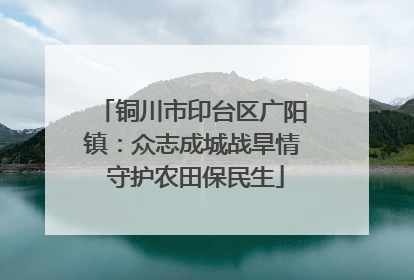 铜川市印台区广阳镇：众志成城战旱情 守护农田保民生