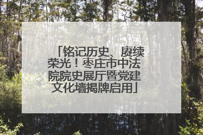 铭记历史、赓续荣光！枣庄市中法院院史展厅暨党建文化墙揭牌启用