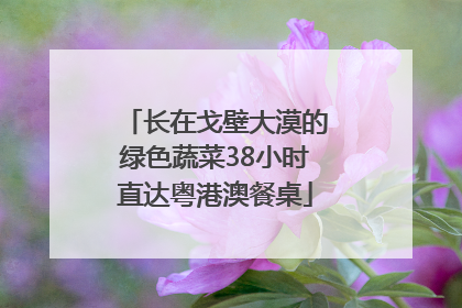 长在戈壁大漠的绿色蔬菜38小时直达粤港澳餐桌