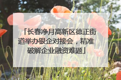 长春净月高新区德正街道举办银企对接会，精准破解企业融资难题
