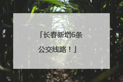 长春新增6条公交线路！