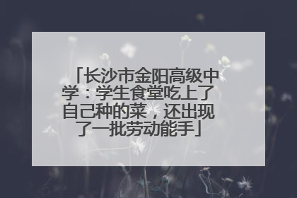 长沙市金阳高级中学：学生食堂吃上了自己种的菜，还出现了一批劳动能手