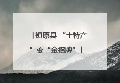 镇原县 “土特产”变“金招牌”