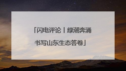 闪电评论丨绿潮奔涌 书写山东生态答卷