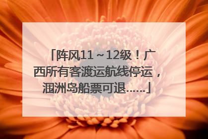 阵风11～12级！广西所有客渡运航线停运，涠洲岛船票可退……