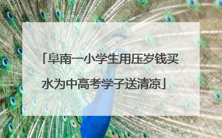 阜南一小学生用压岁钱买水为中高考学子送清凉
