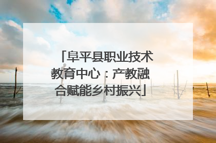 阜平县职业技术教育中心：产教融合赋能乡村振兴