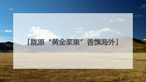 陇原“黄金浆果”香飘海外