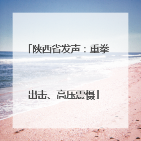 陕西省发声：重拳出击、高压震慑