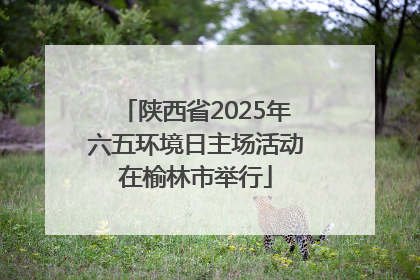 陕西省2025年六五环境日主场活动在榆林市举行