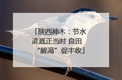 陕西神木：节水灌溉正当时 良田“解渴”促丰收