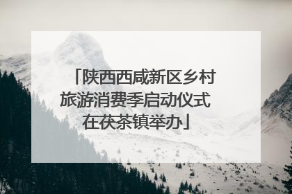 陕西西咸新区乡村旅游消费季启动仪式在茯茶镇举办