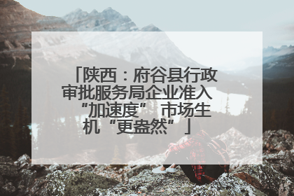 陕西：府谷县行政审批服务局企业准入“加速度” 市场生机“更盎然”