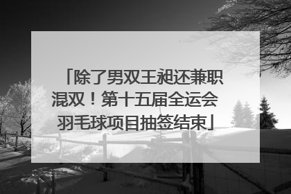 除了男双王昶还兼职混双！第十五届全运会羽毛球项目抽签结束