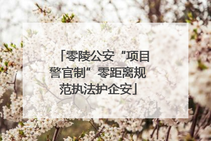 零陵公安“项目警官制”零距离规范执法护企安