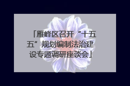 雁峰区召开“十五五”规划编制法治建设专题调研座谈会