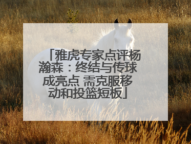 雅虎专家点评杨瀚森：终结与传球成亮点 需克服移动和投篮短板