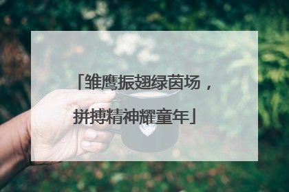 雏鹰振翅绿茵场，拼搏精神耀童年