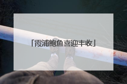 霞浦鲍鱼喜迎丰收