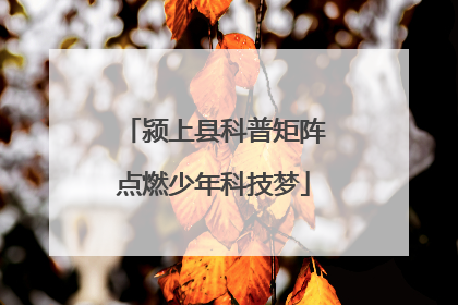 颍上县科普矩阵点燃少年科技梦