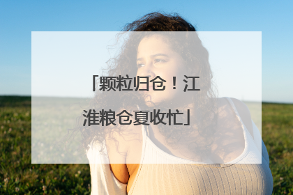 颗粒归仓！江淮粮仓夏收忙