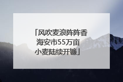风吹麦浪阵阵香 海安市55万亩小麦陆续开镰