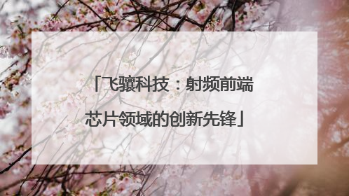 飞骧科技：射频前端芯片领域的创新先锋