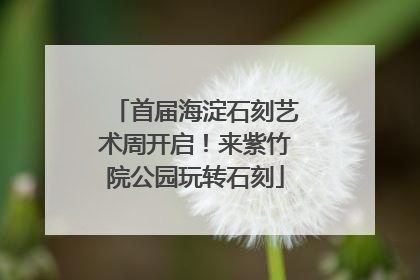 首届海淀石刻艺术周开启！来紫竹院公园玩转石刻